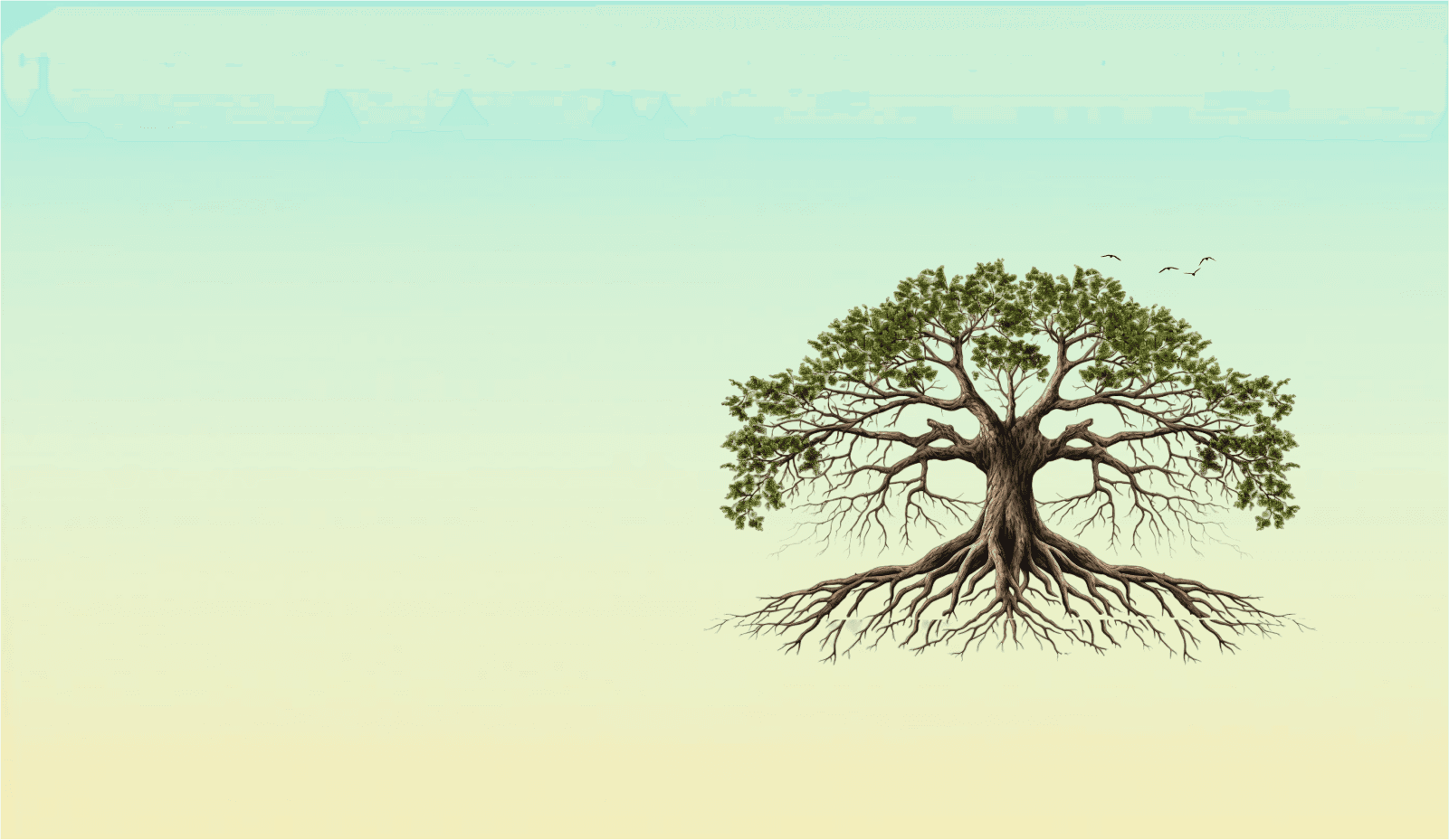 Legacy & Inheritance Planning