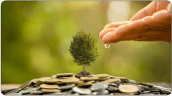 Sustainable Income